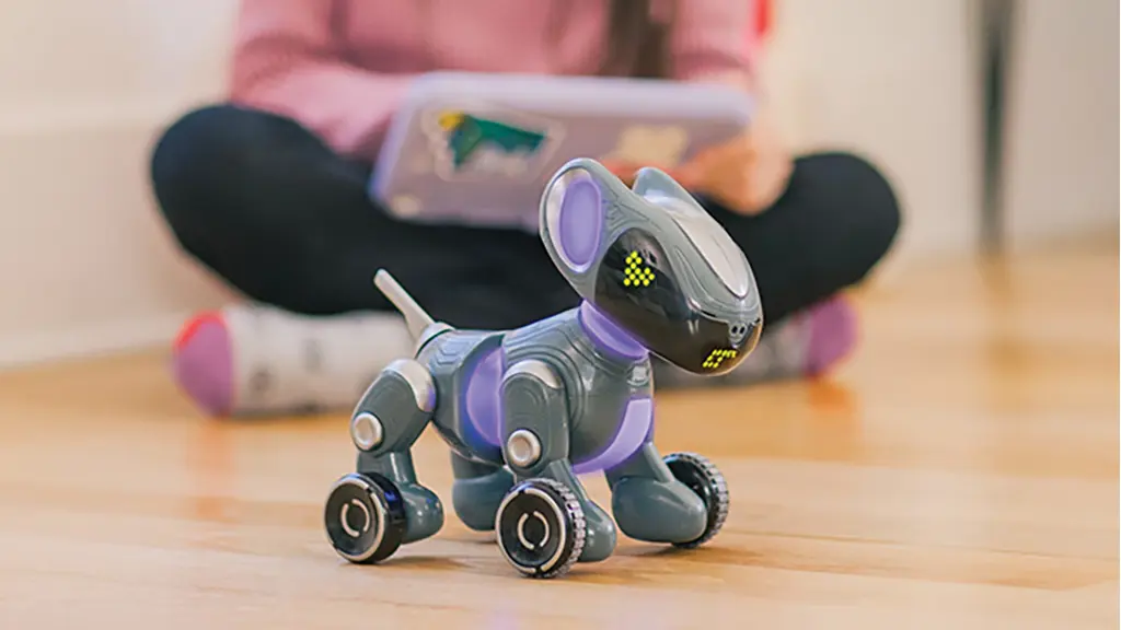 La tendenza di gioco 2023: FOLLIA DEGLI ANIMALI DOMESTICI!