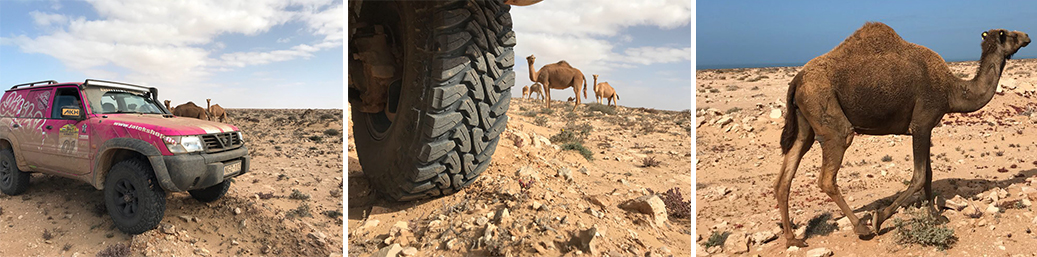 Budapest - Bamako Rally resoconto della situazione, 7ª giornata di gara