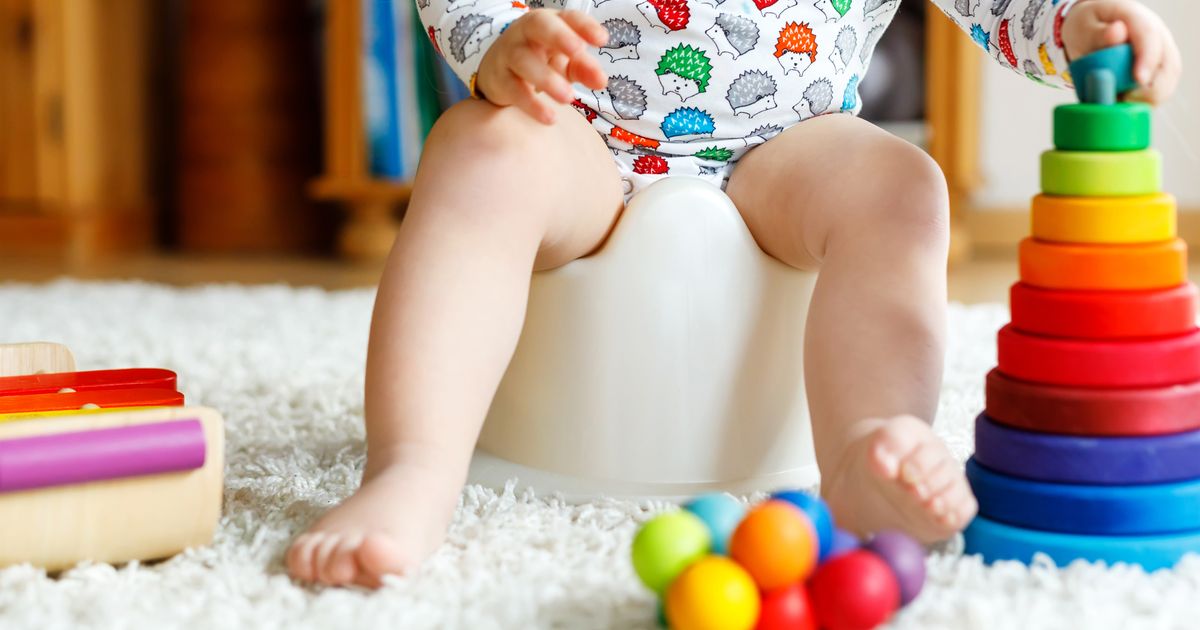 Giochi e consigli per facilitare l'addestramento al vasino