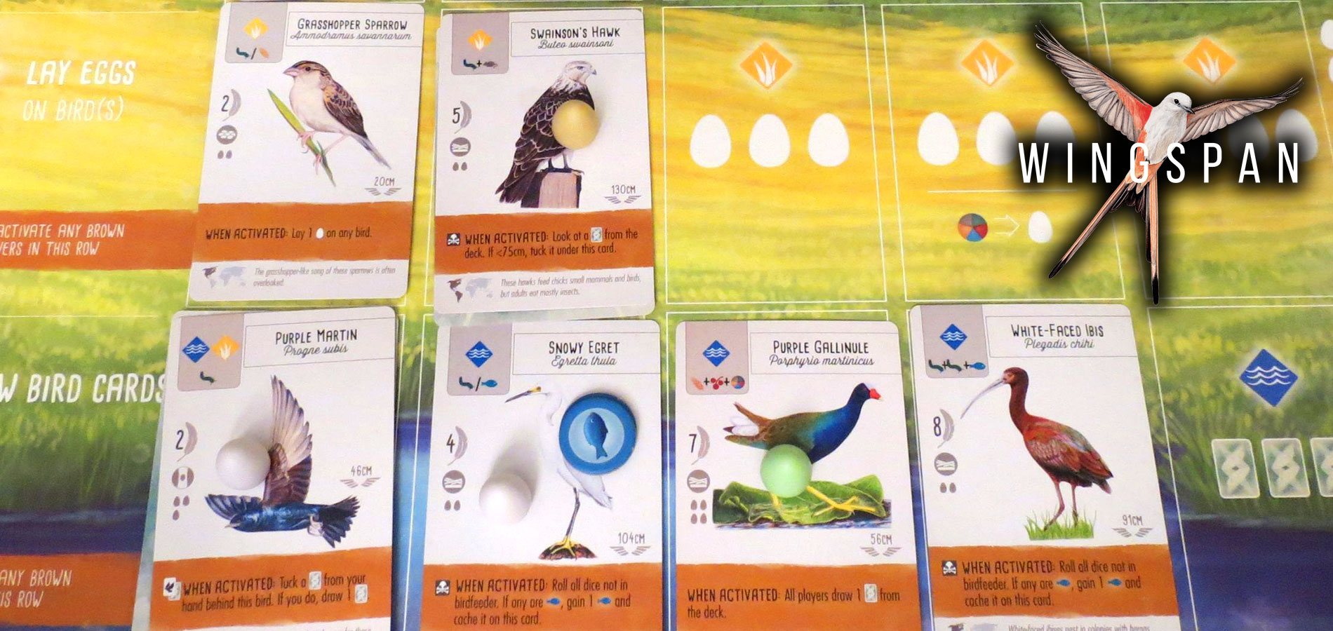 Meccaniche dei giochi da tavolo – Bonus di fine partita