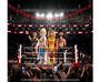 Entra nel ring con la collezione Playmobil WWE