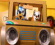 Presto potremo guardare in streaming quattro nuove serie di Bluey