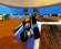 Roblox accelera i motori per il ritorno di Monster Jam