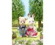 I Calico Critters festeggiano il 40º anniversario