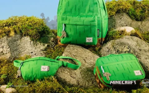Dai una marcia in più al tuo equipaggiamento da gamer con la collezione di zaini scolastici Herschel Supply Minecraft!