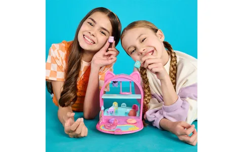 Giradischi Interattivo Mattel Fisher-Price
