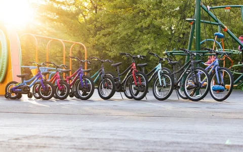Biciclette per bambini Huffy Grow Ride Move