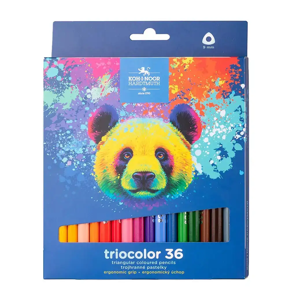 ICO: Koh-I-Noor 3145 Matite colorate esagonali in scatola con orso, 36 pezzi