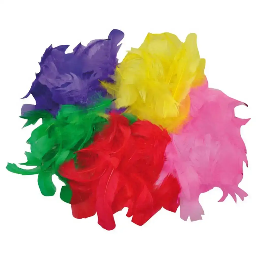PlayBox: Piume di tacchino decorative colorate confezione da 200 pezzi