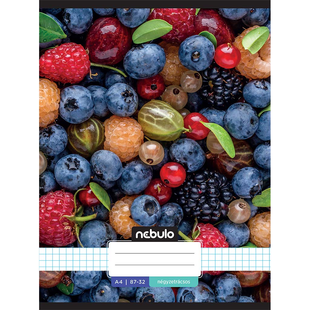 Nebulo: Quaderno a righe con motivo di frutta 87-32 A/4 immagine 1
