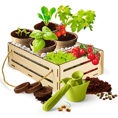 Gioco nella natura: la nuova avventura di giardinaggio di Clementoni per i giovani esploratori