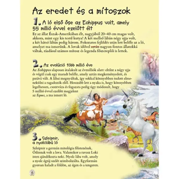 101 cose che è bene sapere sui cavalli libro di divulgazione immagine 2