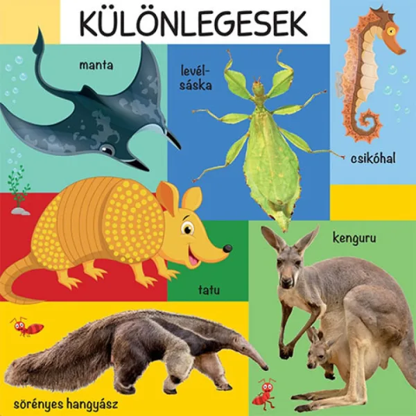 101 immagini colorate sugli animali selvatici libro per bambini immagine 3