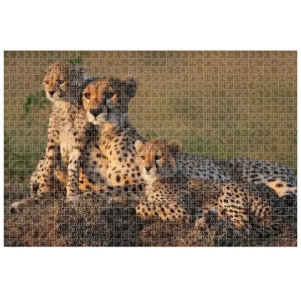 Animal Planet: Famiglia di ghepardi puzzle da 1000 pezzi immagine 2