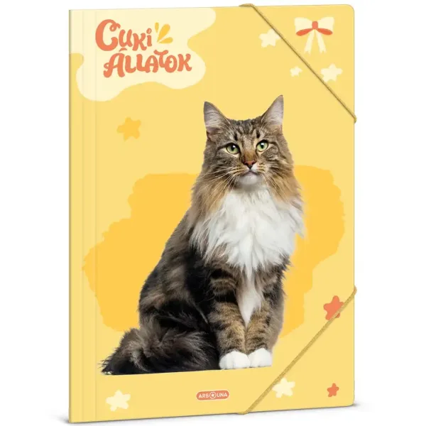 Ars Una: Animali Carini – Cartella con elastico formato A4 Gatto delle Foreste Norvegesi immagine 1