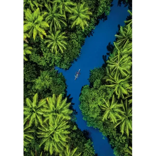 Avventura tropicale puzzle compatto HQC da 500 pezzi - Clementoni immagine 2