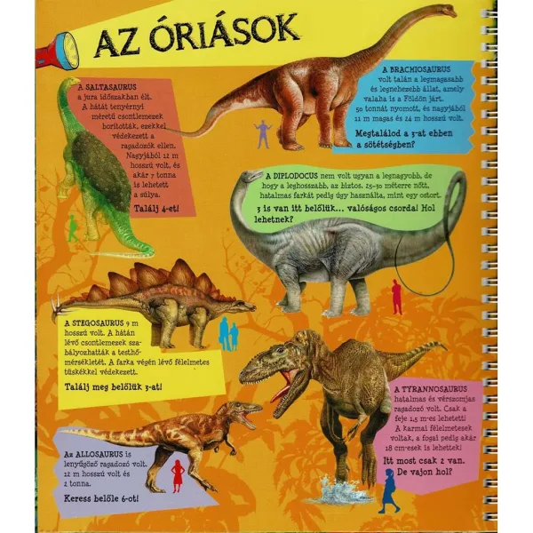 Con una torcia elettrica - Sulle tracce dei dinosauri immagine 3