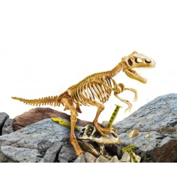 IM Genius: Set archeologico del dinosauro Tyrannosaurus Rex con attrezzi immagine 2