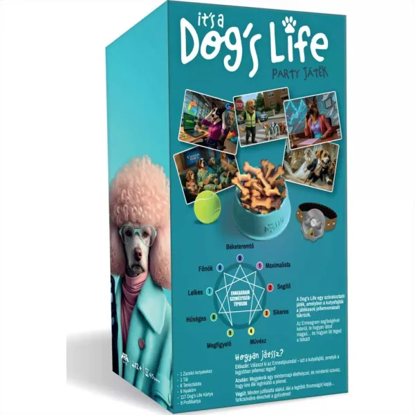 Il gioco da tavolo "È la vita di un cane" immagine 4