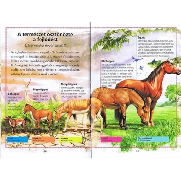 Leggi con noi! (3) - La storia dei cavalli libro per bambini immagine 3