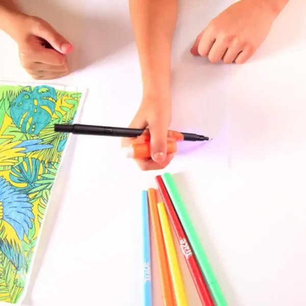 Magic Trace: Set iniziale dello zoo immagine 2