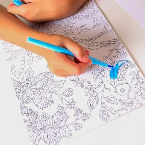 Magic Trace: Set iniziale dello zoo immagine 3