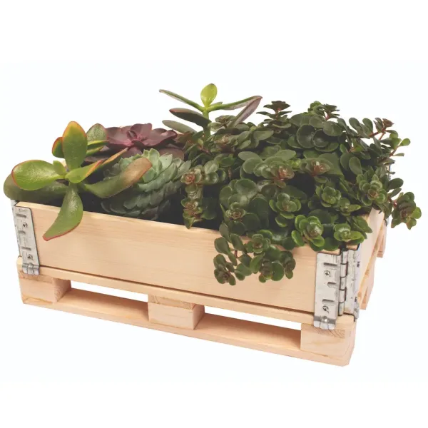 PlayBox: Cassa in legno per pallet 18x28x8,65 cm immagine 3