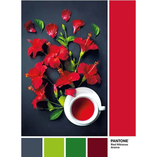 Puzzle da 1000 pezzi Pantone Hibiscus Tea - Clementoni immagine 2