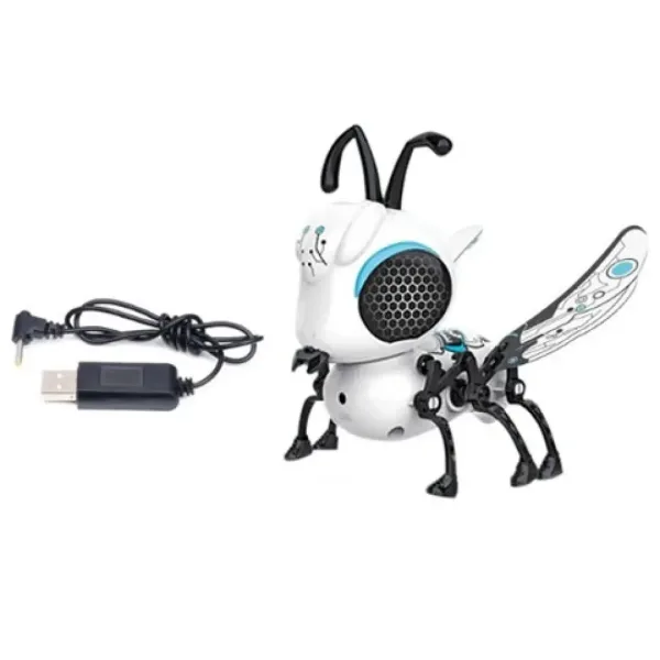 RoboDongo interattivo immagine 4