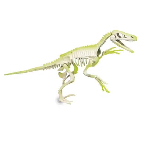 Science&Play: Archeofun Velociraptor Luminoso set da archeologo - Clementoni immagine 4