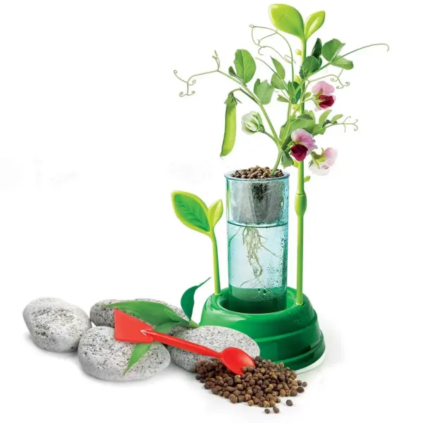 Science&Play: Laboratorio botanico idroponico - Clementoni immagine 2