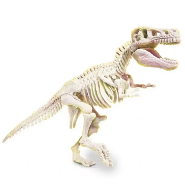 Science & Play: Set archeologico fluorescente T-Rex - Clementoni immagine 3