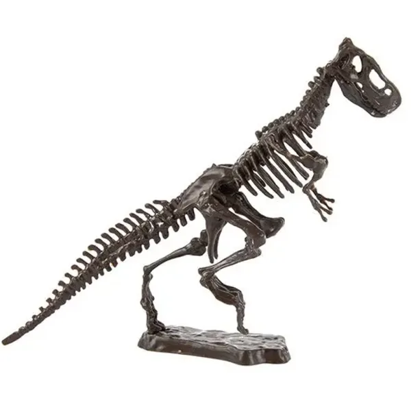 Set archeologico di dinosauro in diverse varianti, 1 pezzo immagine 8