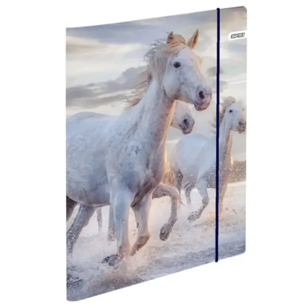 Spirit: Cool Magical Horse zaino ergonomico per la scuola, zaino set da 4 pezzi immagine 6