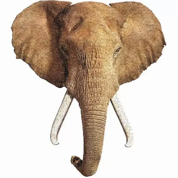 WOW puzzle elefante gigante da 700 pezzi immagine 2