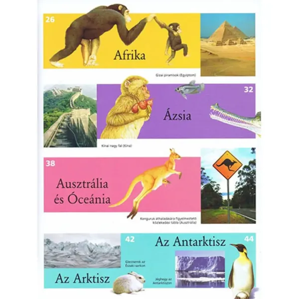 Atlante illustrato per bambini - Animali nel mondo libro divulgativo immagine 3