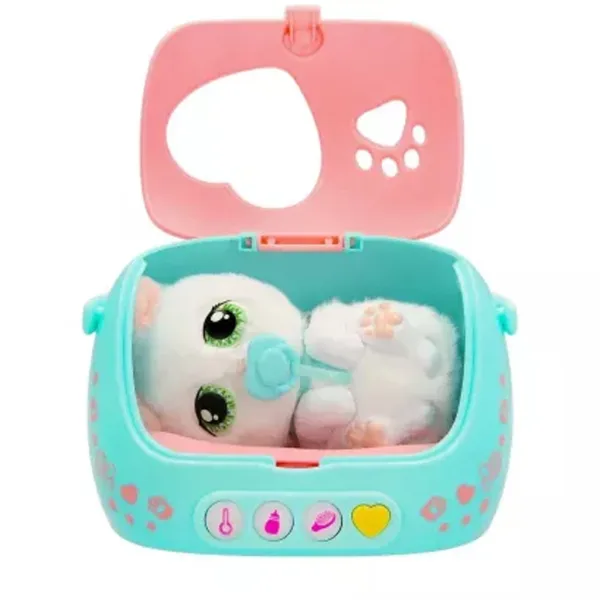 Baby Paw – Gattino immagine 2