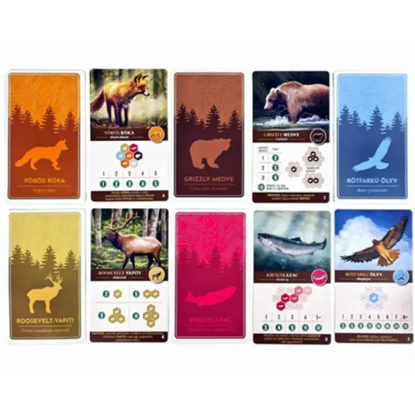Cascadia fauna selvatica gioco da tavolo immagine 5