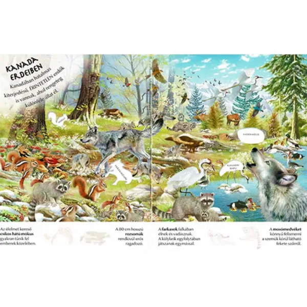 Che interessante è il mondo... Album di adesivi per cuccioli immagine 3