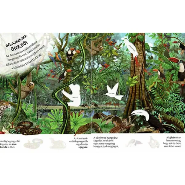 Che interessante è il mondo... Album di adesivi di animali selvatici immagine 2