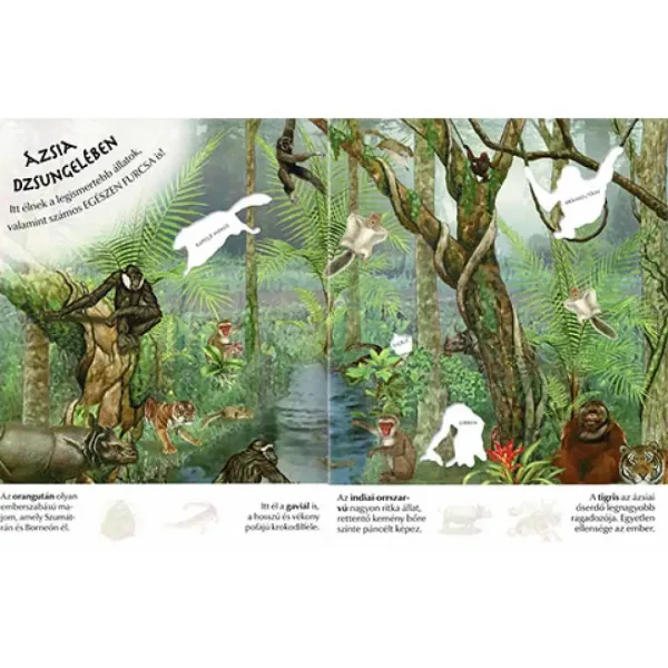Che interessante è il mondo... Album di adesivi di animali selvatici immagine 3
