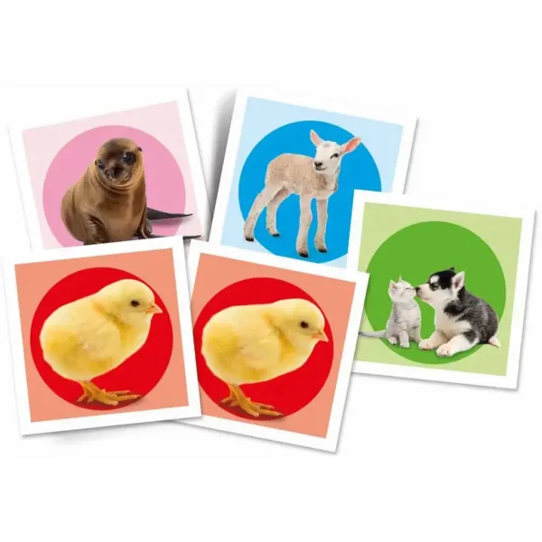 Gioco di memoria Animali 48 pezzi - Clementoni immagine 2