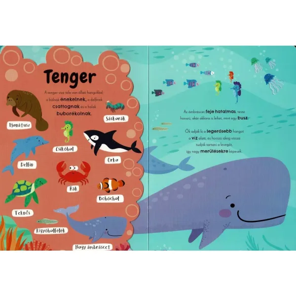 I miei primi suoni animali - libro modulare audio inglese-ungherese immagine 2