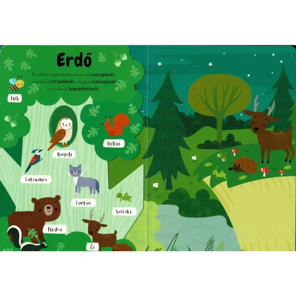 I miei primi suoni animali - libro modulare audio inglese-ungherese immagine 3