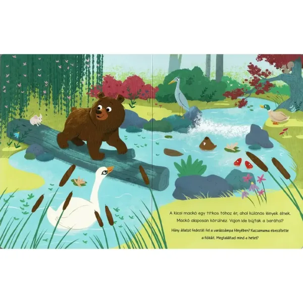 Lampada magica - Il libro di fiabe degli abitanti della foresta immagine 2
