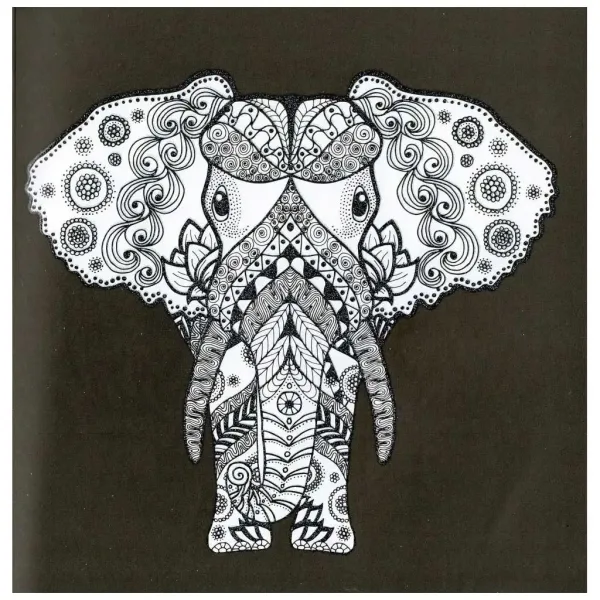 Colori brillanti - Animali immagine 4