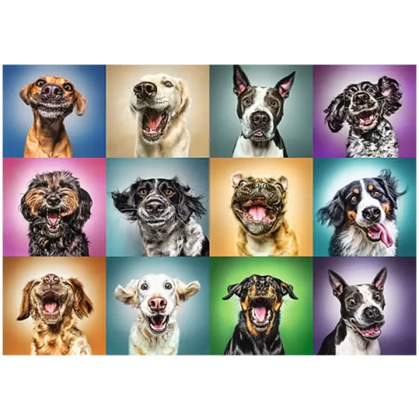 Puzzle di 1000 pezzi con ritratti di cani divertenti - Trefl immagine 2