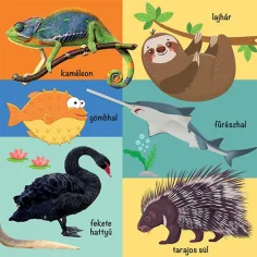 101 immagini colorate sugli animali selvatici libro per bambini immagine 2