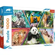 Animal Planet: Regni Animali puzzle da 1000 pezzi - Trefl