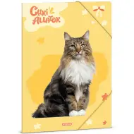 Ars Una: Animali Carini – Cartella con elastico formato A4 Gatto delle Foreste Norvegesi